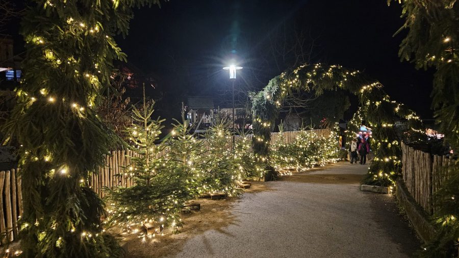 Schöne FEIERTAGE und ein TOLLES 2026!